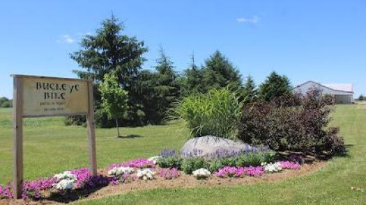 BUCKEYE BIKE in Shiloh Row 118 2