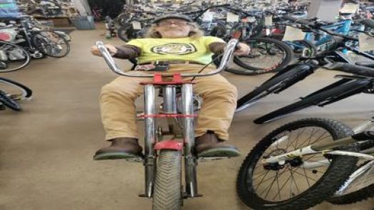 Baynesville Bicycle Shop in Baltimore