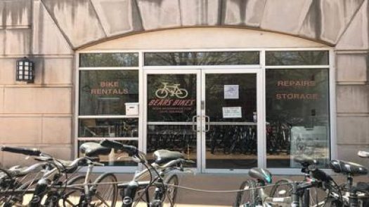 Bears Bikes in Louis