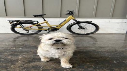 Bike People in Indianapolis