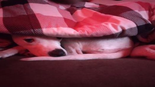 Bikes By Howie LLC in Council Bluffs