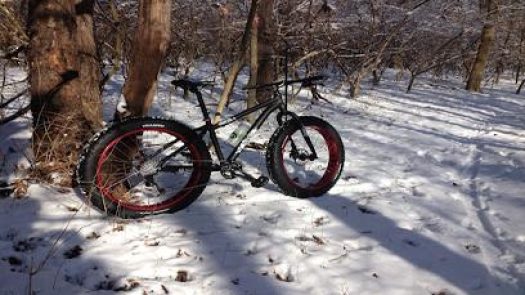 Black Pug Bike Repair in Yellow Springs Row 54 2