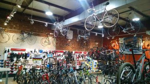 Cycles de ORO in Greensboro
