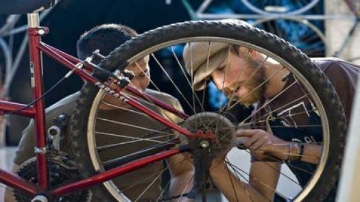 Davis Bike Collective in Davis