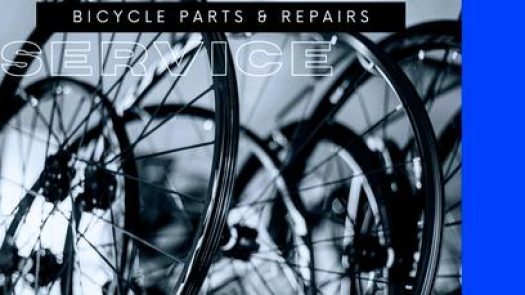 Eds Mobile Bike Service in Campbell