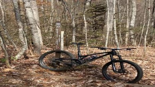 Find Your Line Bicycles in Asheville Row 561 2