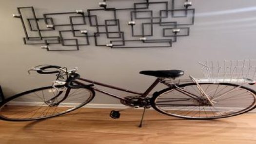 Happy Dragon Bike Repair Restoration Service in Elmhurst