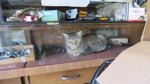 Heavy Metal Bike Shop in San Francisco Row 99 2