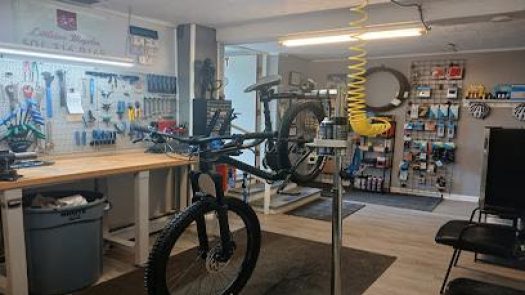 Newport Bicycles in Newport Row 116 2