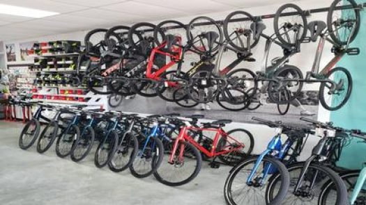 POPcycles Bike Shop in Sarasota