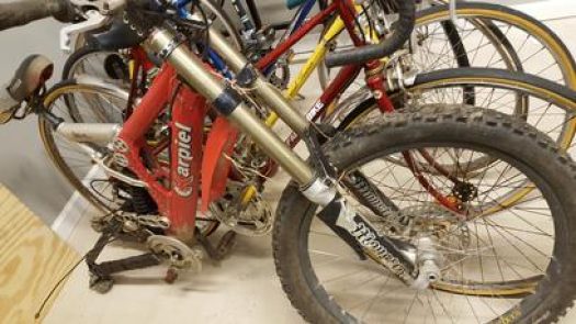 Reds Bicycle Sales Repair LLC in Eastlake