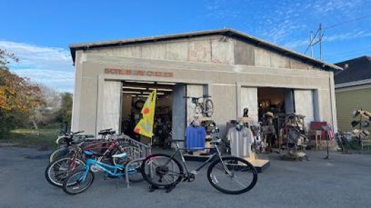 Scrub Jay Cycles in Pescadero Row 99 2