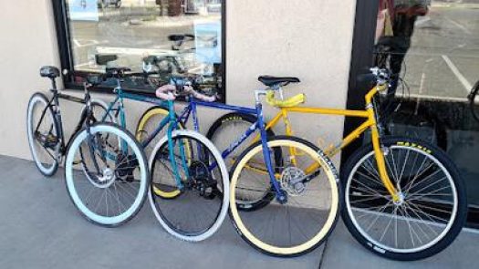 Silent Country Cycle Ski in Delta Row 16 2