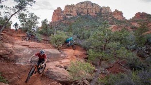 Sun Bike and Run in Phoenix Row 67 2