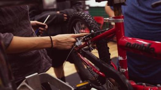 The Bicycle Tree in Santa Ana