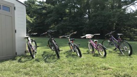 The Bike Doctor in Randallstown