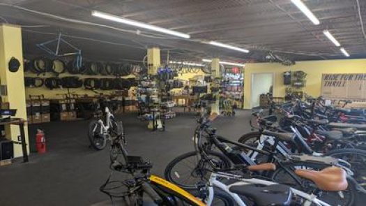 The Freewheel Bike Shop in Albany