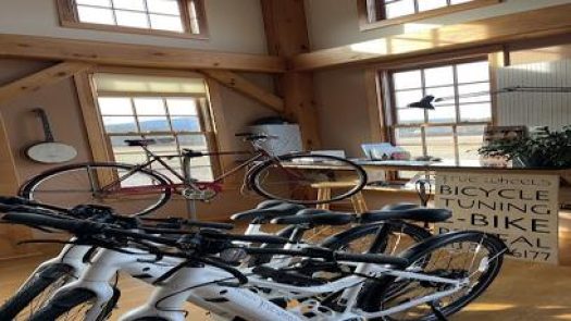 True Wheels in Sheffield Row 131 2