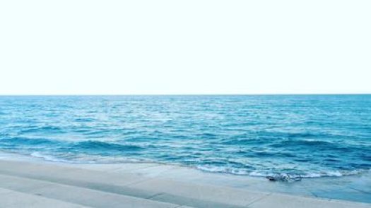 tamago in Chicago Row 29 2